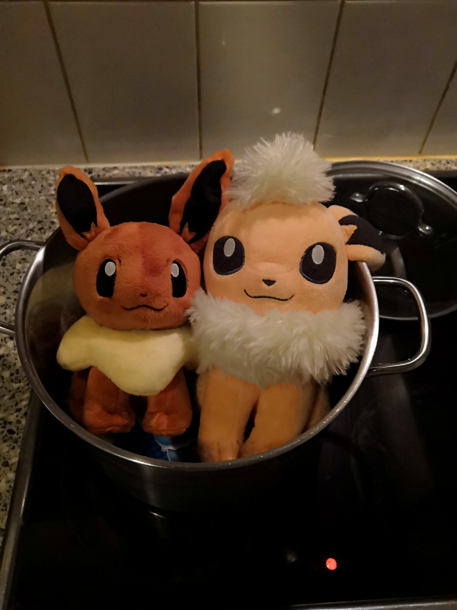 Hobeon No Plush Were Harmed In The Making Of This Obviously Everything Is Clean The Pan Was Barely Warm And The Plush Are 100 Fine T Co Xa1egyn4pk Twitter