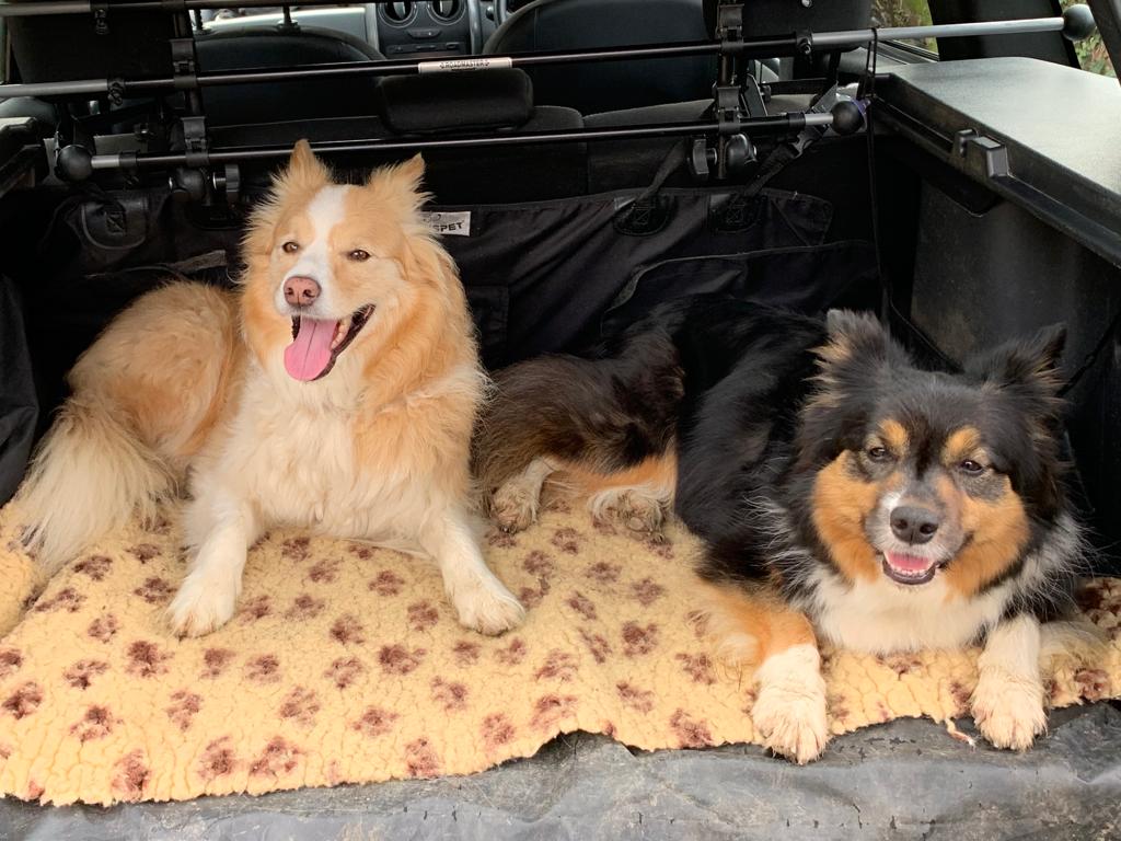 Sarah71Garner's tweet photo. Yes, we enjoyed our walk thank you! https://t.co/01GyLVhk3z