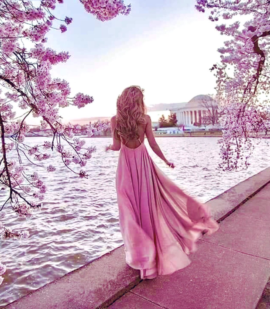 Cathhewat123's tweet photo. Good Evening.. Friends 🌅🙋‍♀️
🌅🌸🌅🌸🌅🌸🌅🌸🌅🌸😘 https://t.co/dCHjcQkfO4