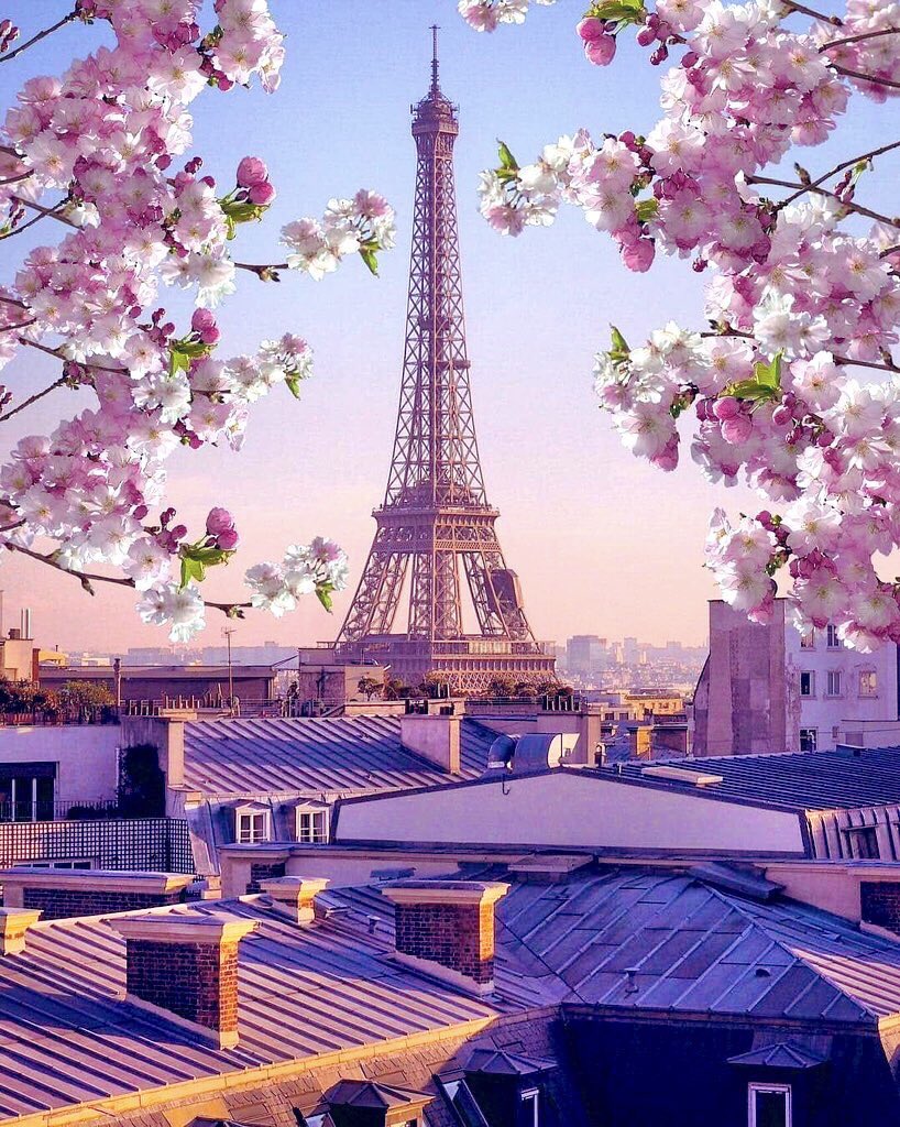 Cathhewat123's tweet photo. Good Evening.. Friends 🌅🙋‍♀️
🌅🌸🌅🌸🌅🌸🌅🌸🌅🌸😘 https://t.co/dCHjcQkfO4