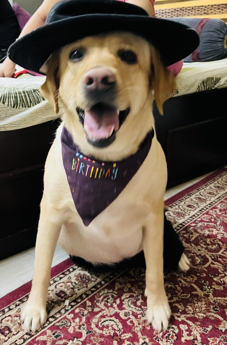NathaniPuja's tweet photo. It’s my baby girl’s 2nd birthday! 🐶🤩
Im going to keep posting Coco pics today and annoy the hell out of your timeline 🙈😋
#cocojumbo #happybirthday #mylittlesaviour #pawrtytime https://t.co/JjX1doZSJj