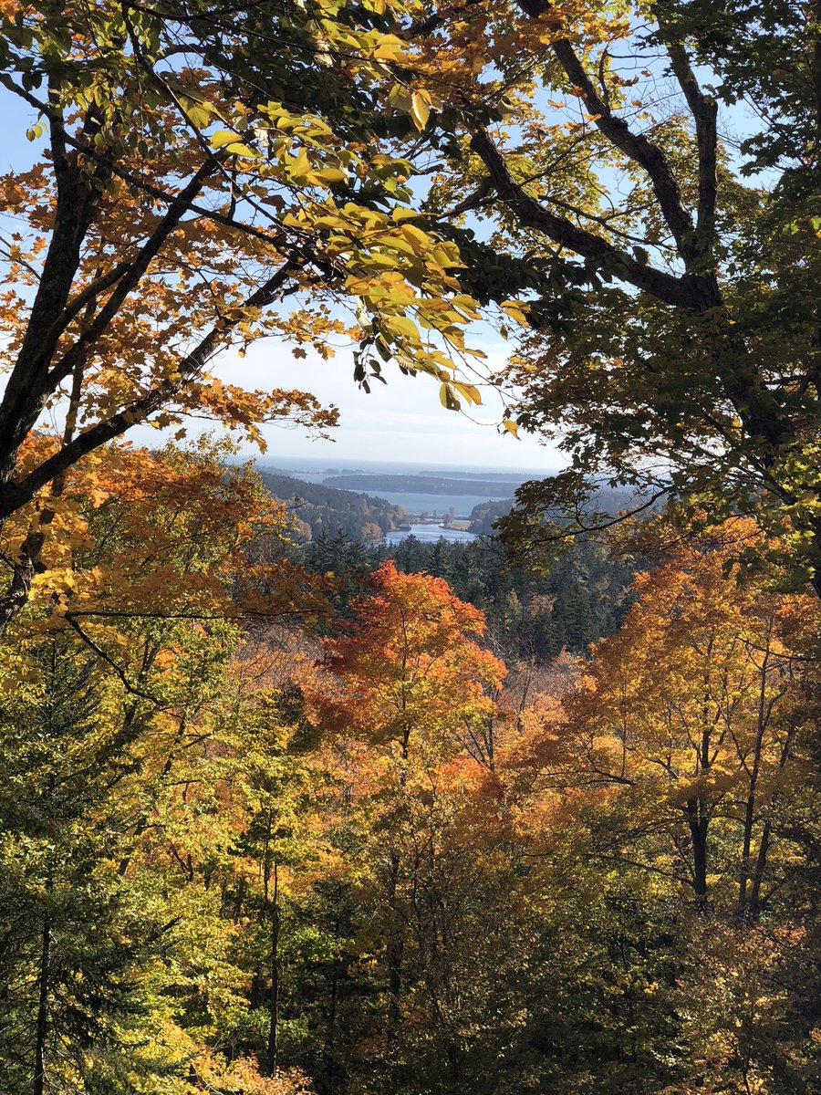 hearts_sc's tweet photo. Happy birthday, Maine! 🌲🦞🏔 

We love all four of your seasons… and your future pro soccer teams https://t.co/llVdvQwRY8