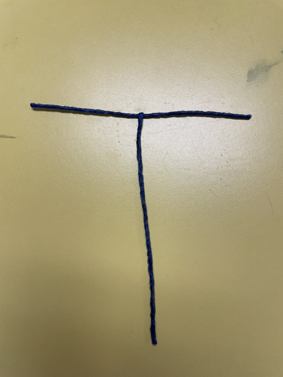 Anna Caroline Kirkland tweet media