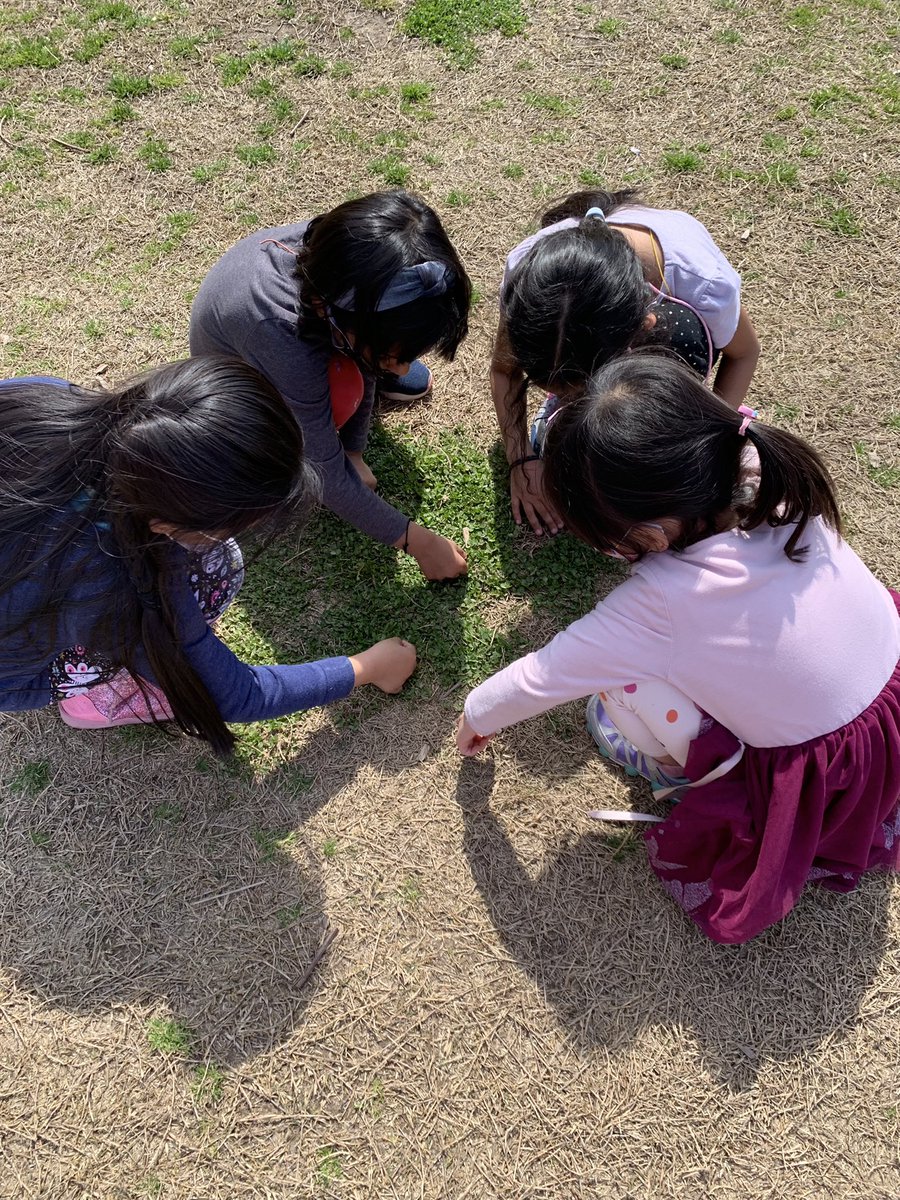 Looking for four-leaf clovers at recess 👀🍀