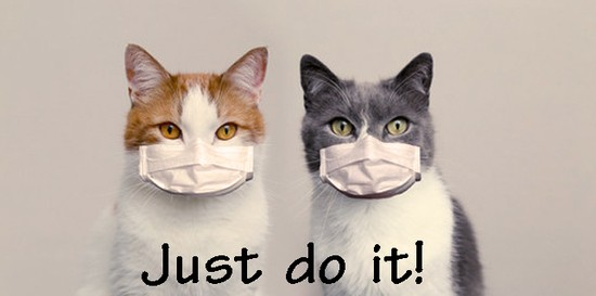 marillion13's tweet photo. Yup, #WearADamnMask, IΒ΄ll even keep doing that in spite of my #Asthma & #COPD after the 20th of March, when the #CoronaMeasures in GermanyΒ΄re about to end, IΒ΄ll also keep the #MinimumDistance & #WashHands regularly to #ProtectMyselfAndOthers.
πΉπΉπΉππππ·π·π·πΎπΎπΎπππ https://t.co/GpENcQwz41