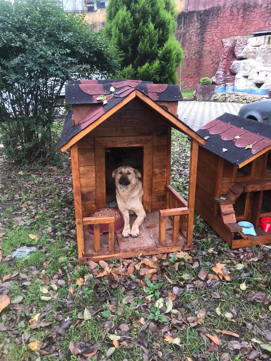 3⃣Yasa, bilim ve kamu vicdanı doğrultusunda sorunu çözmeye çalışırken nefret söylemleri yayan, hayvan haklarını hiçe sayan, devlete ve belediyelere katliam çağrısı yapan bir güruha itibar etmiyoruz. Çocuklarımıza verdiğimiz değeri köpekleri öldürerek göstermeyi reddediyoruz.