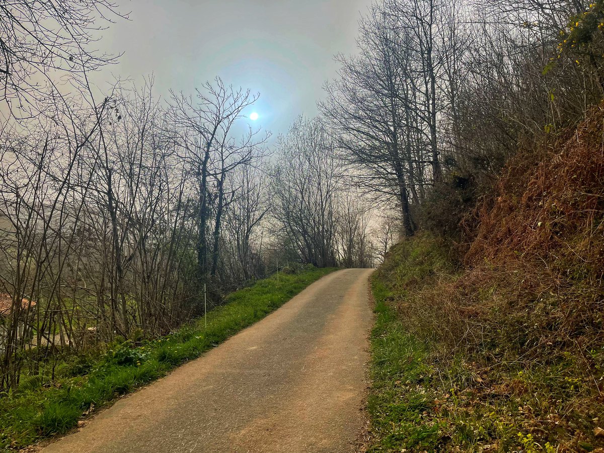 katiamartin86's tweet photo. KATY ya se corrió 🤣🤣
Hoy con #calima #AsturiasParaisoNatural #15kms 🏃🏼♀️ https://t.co/vjhz4uqNcR