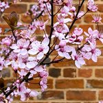 Photo by Brookstown Inn (@brookstowninn)