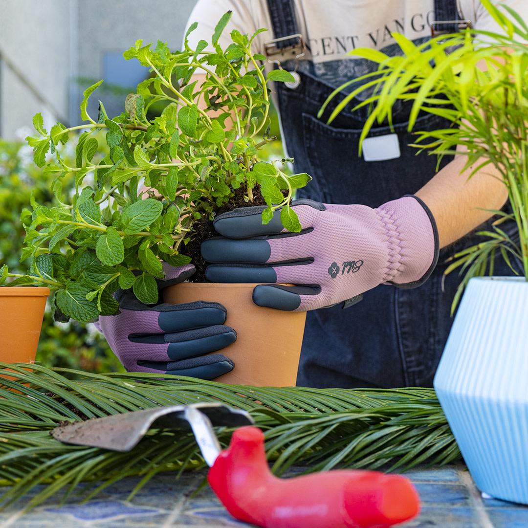 Mechanix_Wear's tweet photo. Putting some roots down with the help of our Ethel Garden Utility Gloves๐ชด
#MechanixWear #MechanixGloves #UtilityGloves #GardeningGloves #PlantCare #HandProtection #YardWork #Landscaping https://t.co/NCEJhtScIm