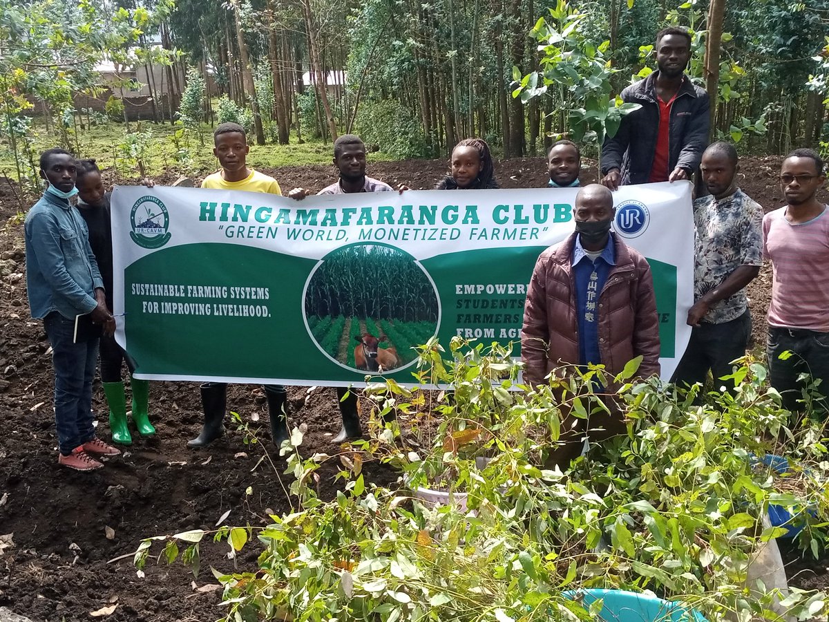 Hingamafaranga's tweet photo. Uyu Munsi Ku 15 Werurwe 2022 ; Club @Hingamafaranga kubufatanye n'ubuyobozi bw'umurenge wa #busogo muri @MusanzeDistrict bakoze igikorwa Cyo guterera Umuturage  ibiti 400 by'inturusu, ni murwego rwo guhingira inyungu Ariko tunarwanya ikibazo cy'ihindagurika ry'ikirere. https://t.co/2fdwX7OX7g