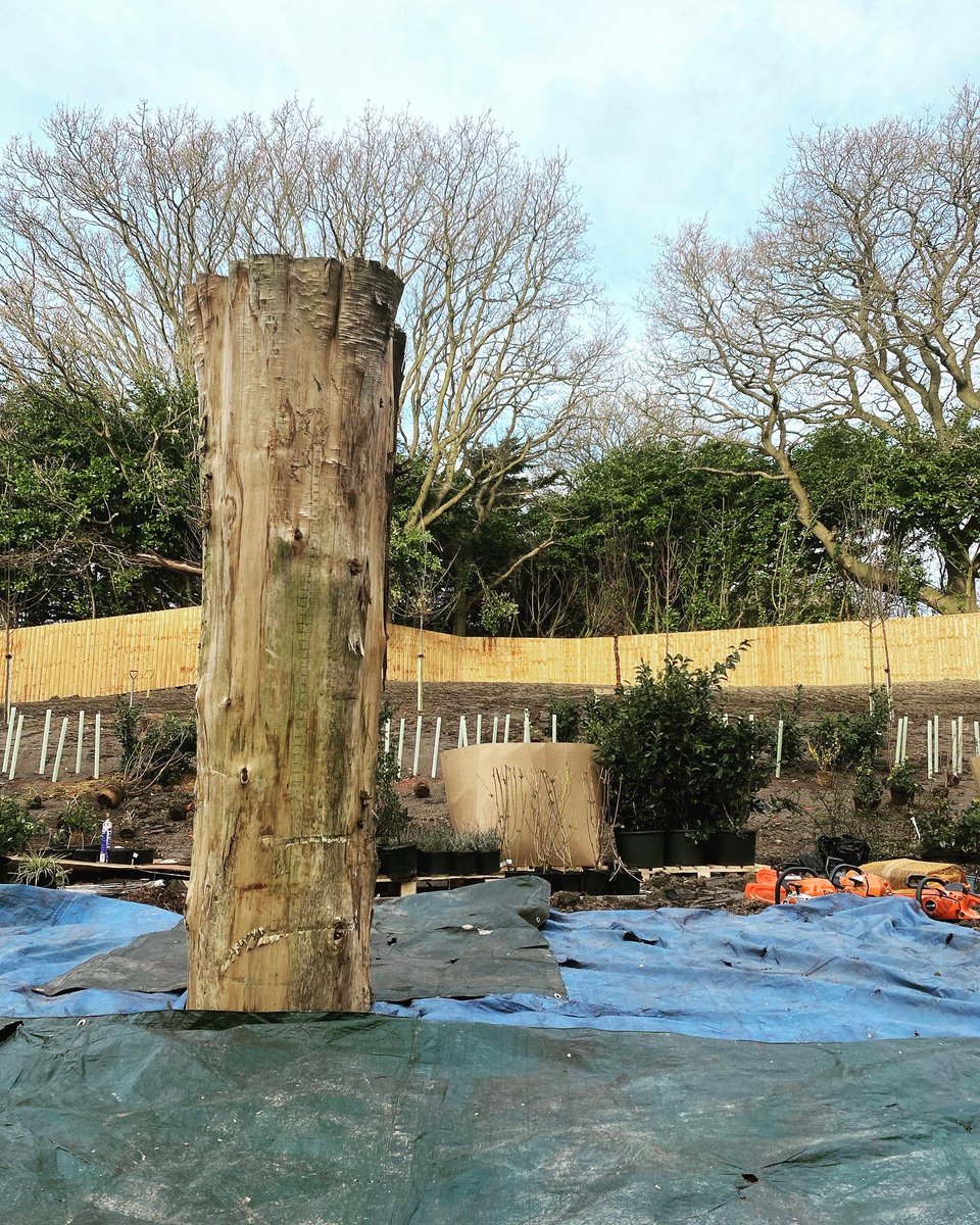 Back from a loooooooooooong day over in #leeds at a fabulous new care home nearing completion for the #NewCare team. The sprawling communal gardens are still being constructed so this #owl will be a great focal point for the residents once they move in @ChrisMcGoffManc