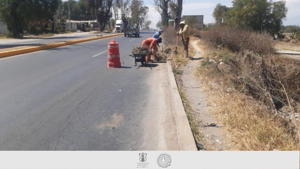 SMyPCTepeaca's tweet photo. #Informamos l En temas de salud y medio ambiente, te compartimos e informamos que se realizó limpieza en la Carretera de la Salida a Puebla; así quienes circulen en esa zona, tendrán espacios más limpios y seguros.

#Informacion #Salud #MedioAmbiente #PazSocial https://t.co/lhVLY1DWwp