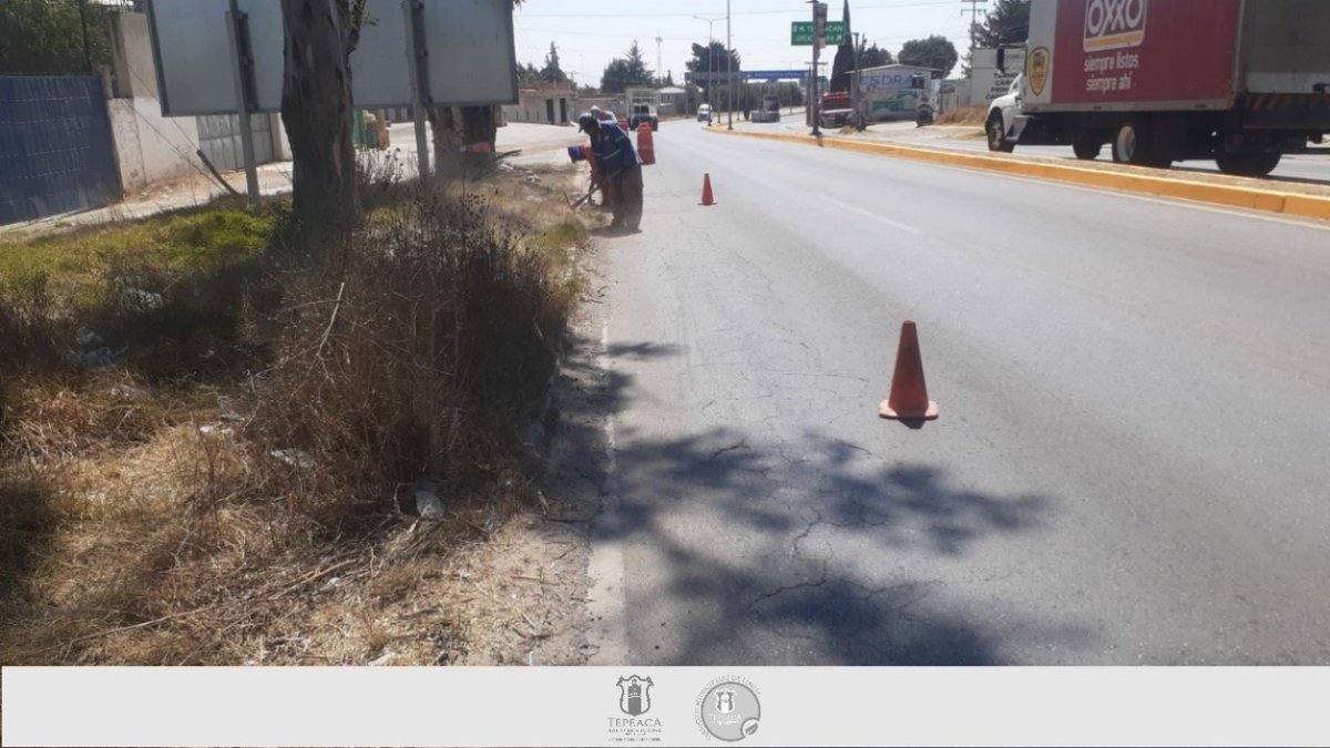 SMyPCTepeaca's tweet photo. #Informamos l En temas de salud y medio ambiente, te compartimos e informamos que se realizó limpieza en la Carretera de la Salida a Puebla; así quienes circulen en esa zona, tendrán espacios más limpios y seguros.

#Informacion #Salud #MedioAmbiente #PazSocial https://t.co/lhVLY1DWwp
