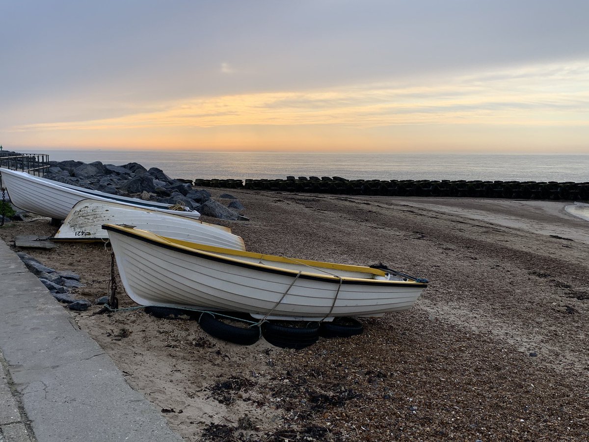 Daimon Wheddon tweet media