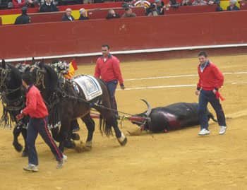 GhSkolarsRugby's tweet photo. BREAKING NEWS!!! Skolars are taking the defeated bull to the cannery. We urge all citizens and shareholders to wait patiently but also earnestly for their canned beef. BE WARNED!! @nigelsackey2 @Original_Bulls @ghanapiratesrlc @accrapanthers @GhanaRL https://t.co/5d9DODBlGq