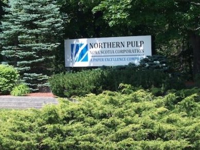 I see #NorthernPulp & their 'friends' are throwing a conniption fit because NS Enviro Dept didn't mutilate the Environmental Assessment process as per their insane & inappropriate demands. Proper thing. See the dets here: #NovaScotia #nspoli #NoPipe
halifaxexaminer.ca/featured/remem…