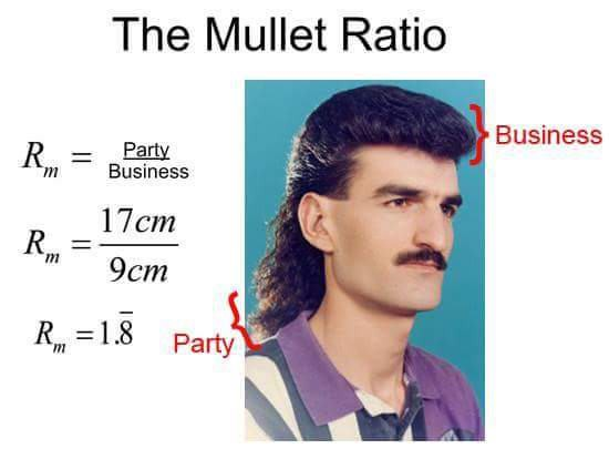 Herbertonic's tweet image. Math Checks Out! #didthemath #bringitback #80s #mullet