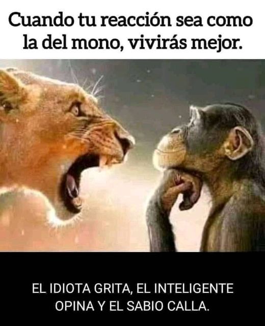 Aaron20470188's tweet photo. Buena tarde amis 🤗🤗🤗😘😘😘😘😘😍😍😍😍❤❤❤❤ https://t.co/9DgEOE6kbT