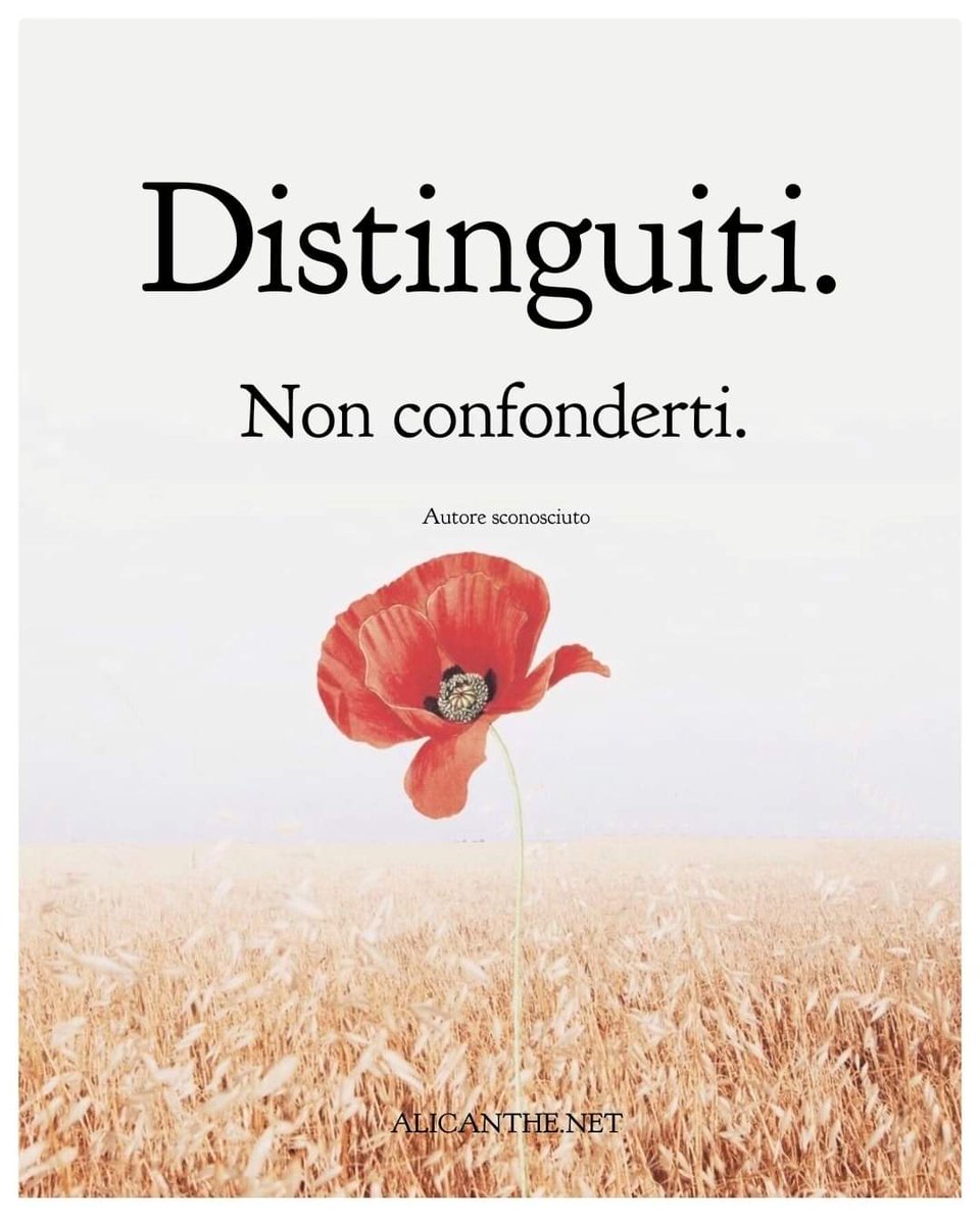 Ang_Gulino's tweet photo. Sii unico nella vita di tutti i giorni.
✌️✌️✌️
#Marzo #15marzo #splendere #VentagliDiParole #ESempre #scritturebrevi #unTemaAlGiorno https://t.co/2EKtfkg0ZX