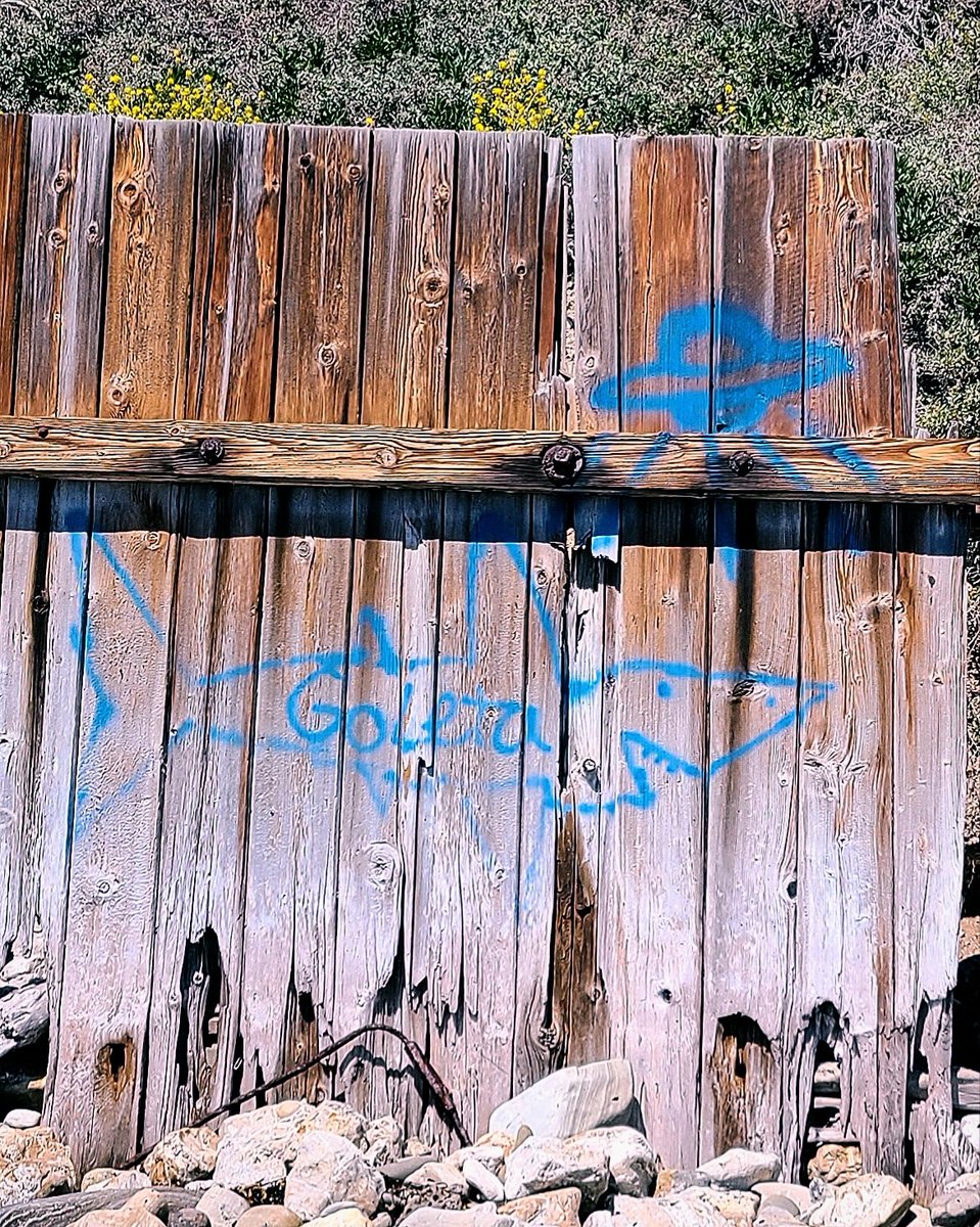 Josh_GoneBad's tweet photo. Surfers Beware! Sharks &amp; Ufo's!
This Warning was Found Near a Local Surf Spot! 

#nftart #NFTCommunity #surfing #SecretSpot #UFO #sharks #ETH #NFT #NFTs #JackalopeCrew #UFOs 
https://t.co/0ZL54icE9l https://t.co/IR5hUKwBwa