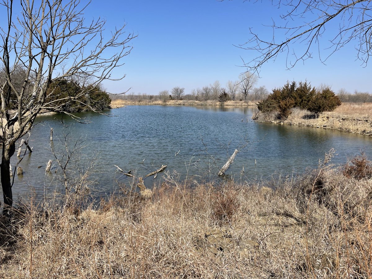 JeremySundgren's tweet photo. Big clear pond on an upcoming Sundgren Auction in Greenwood County, Kansas! #KansasLand #KansasHunting https://t.co/QZfO387dy5