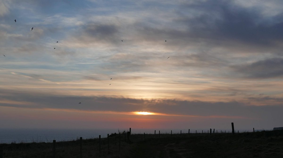 mel_rowell's tweet photo. Sunrise over Bempton cliffs. Thanks for the likes, retweets, comments @Natures_Voice @NatureUK @ThePhotoHour @Bempton_Cliffs @bbcweather @TheStormHour https://t.co/XHcMGHayup