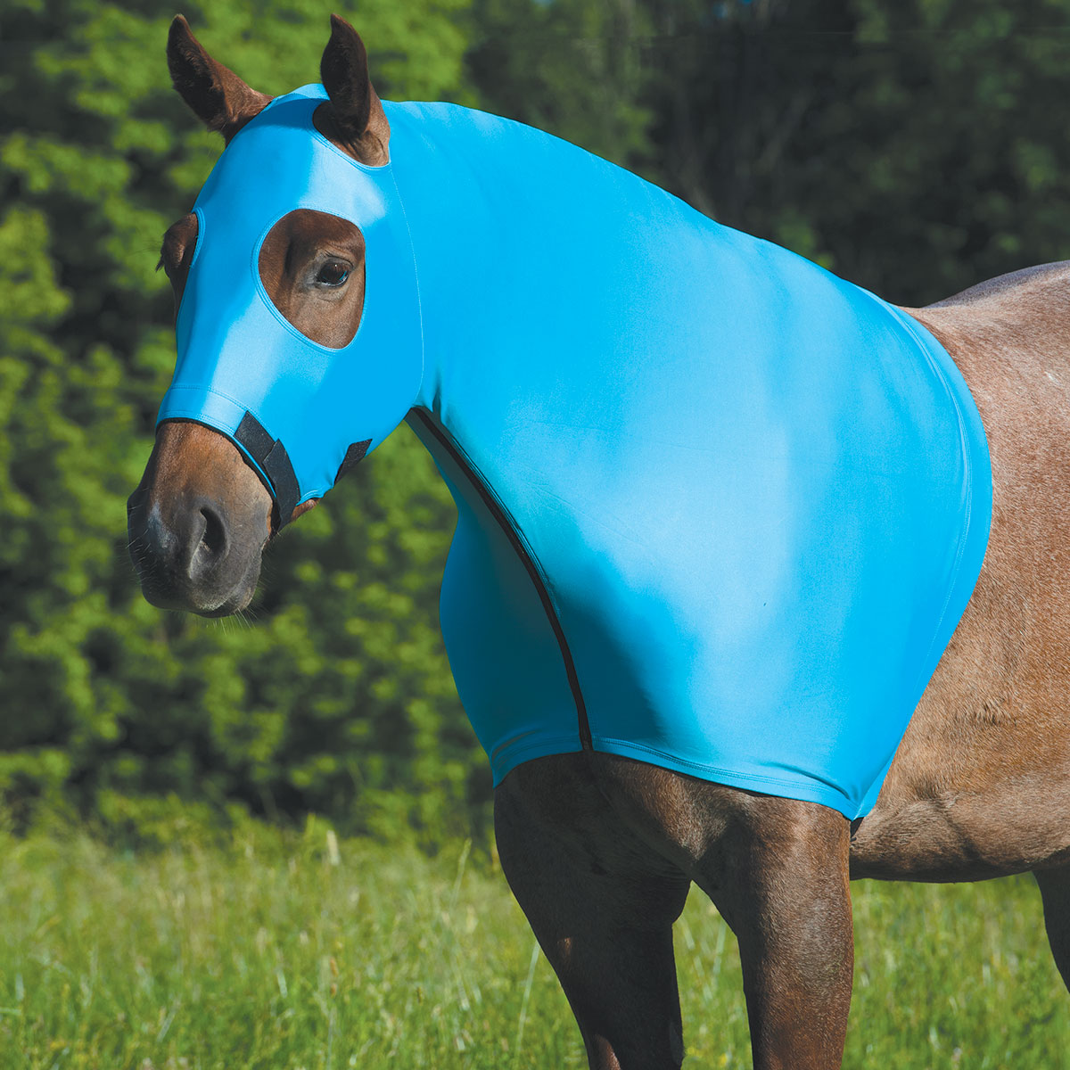 BigDeeTack's tweet image. 𝙉𝙚𝙬 𝙞𝙣 𝙨𝙩𝙤𝙧𝙚! The Weaver Leather CoolAid Lycra Hood is designed with Coolcore Lycra fabric that works to effectively wick away moisture, keeping your horse dry and comfortable. 
#bigdeestack #weaverleather #coolaid #spring #lycrahood #coolandcomfortable #barnfavorites