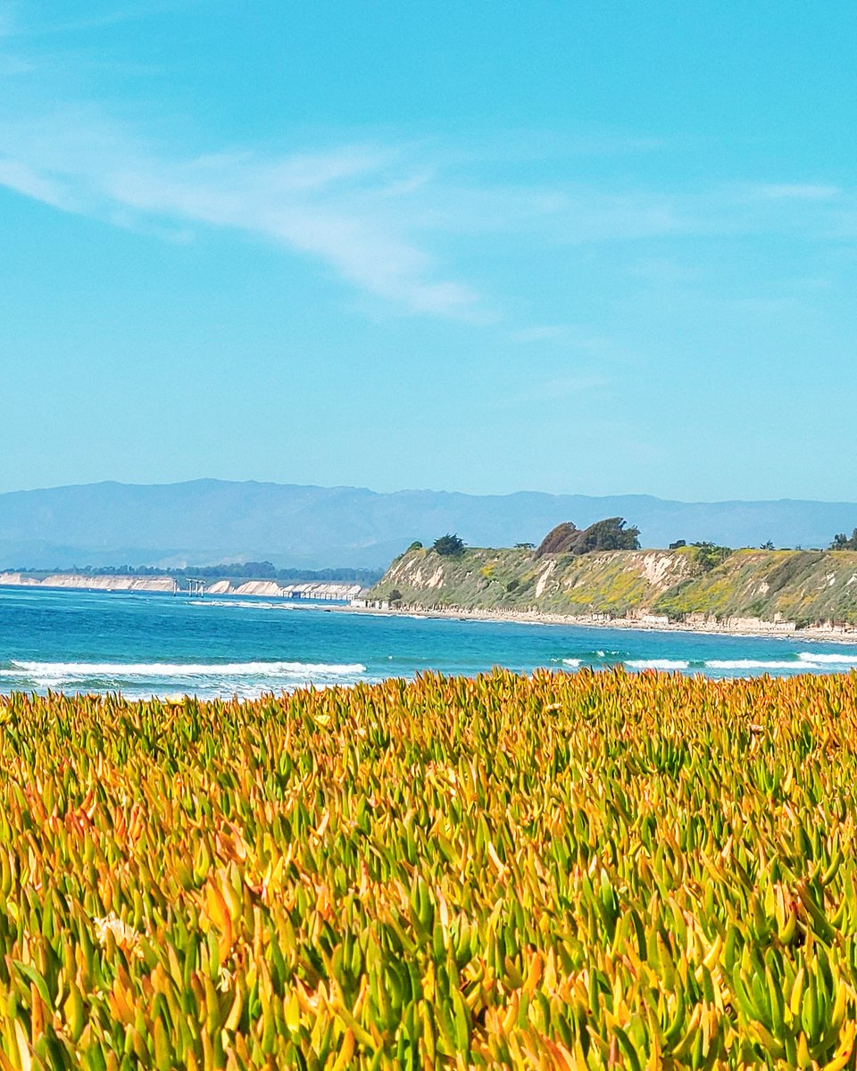 Josh_GoneBad's tweet photo. Coastal Breeze, By Josh GoneBad
Taking Offers On This 1 of 1 New #NFTdrop 
#NFT #NFTphotographers #nftphotography #nftart 
#NFTCollection #NFTCommunity #openseanfts #ETH 
https://t.co/OESSKYbQLZ https://t.co/8YhTbKAzUi