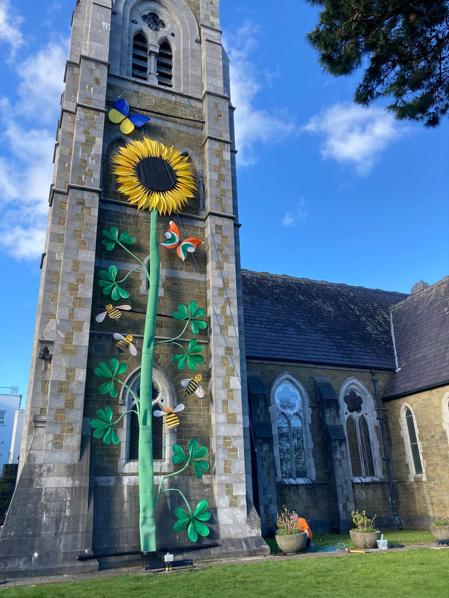 A giant sunflower – the national flower of Ukraine – has been installed on the steeple of St Mary’s Church in Killarney as a gesture of solidarity with the people of the war-torn country #Killarney #Kerry