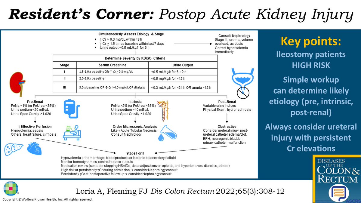#DCRJournal latest round of visual abstracts are OUT!

Resident’s Corner: Postop Acute Kidney Injury in #ColorectalSurgery by @evanmessaris @UrmcShore @URochesterSurg @URMCSurgery @Fergaljfleming: bit.ly/3tb7eGk

What do you think of this? Let's discuss! #SoMe4Surgery