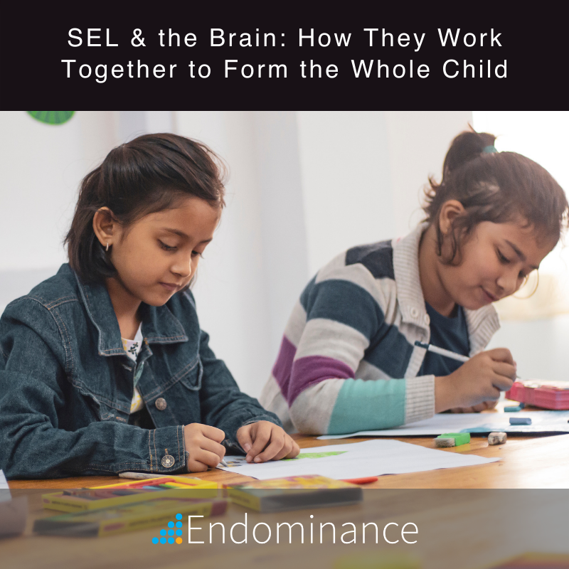 endominance1's tweet photo. Most teachers understand the fundamentals of social and emotional learning (SEL) and how to apply it in the classroom. Still, how SEL helps in students' brain development is often overlooked.

#endominance #innerdominance #sel #education #school #students https://t.co/D2jEZlR9om https://t.co/fvavxjx5Pr