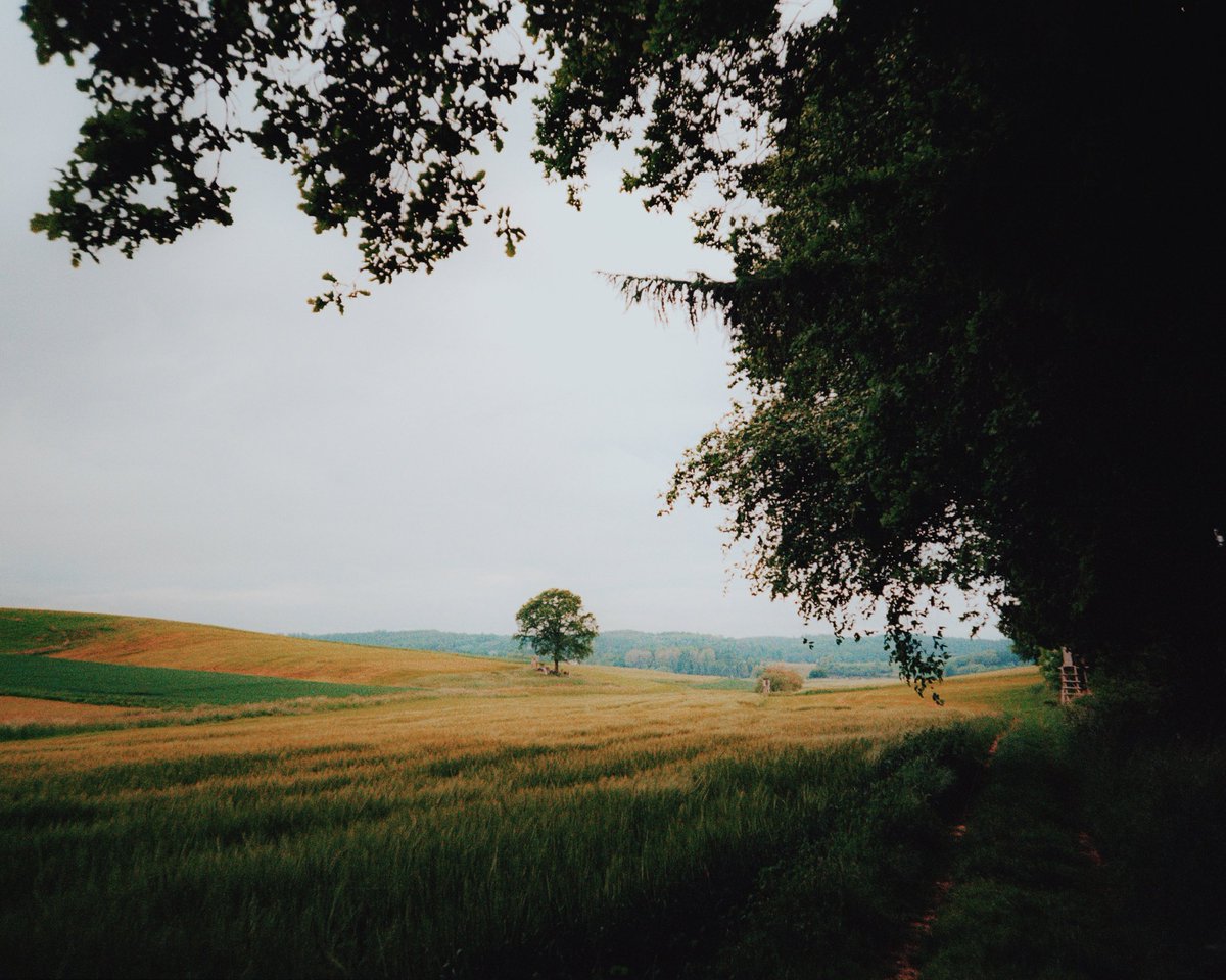 analoguevibez's tweet photo. some more countryside shots on film https://t.co/ooTaKj59rr