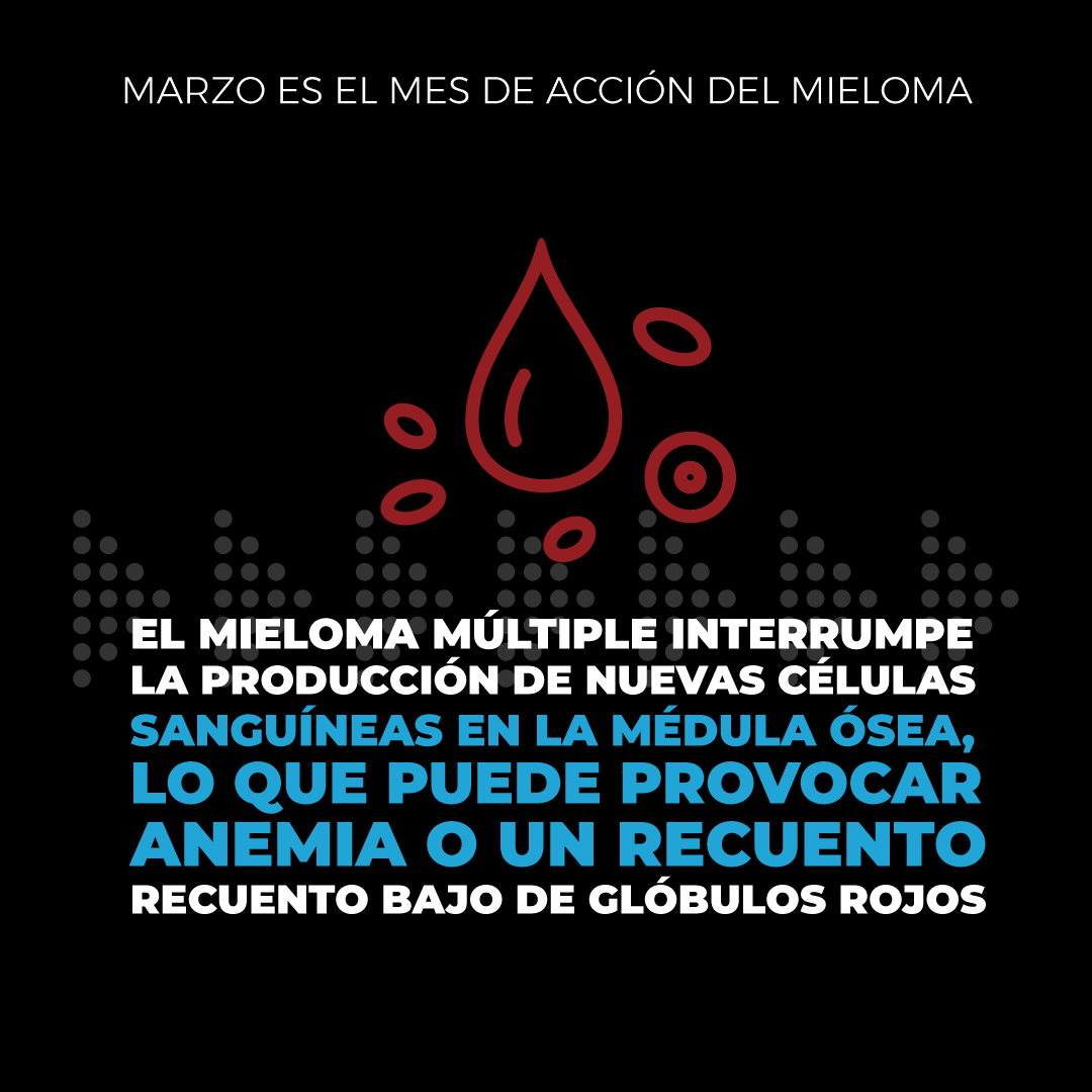 fundmieloma's tweet photo. Que un paciente con #mieloma tenga no pueda acceder al Bco Drogas Nación y deba tramitar su medicación esencial en la DADSE, es una GRAN inequidad y pérdida de tiempo y energía vital. #Lenlidomida, #Melfalan son esenciales #myelomaaction @msalnacion @Natgrinblat @carlavizzotti https://t.co/itjXyeXiqa