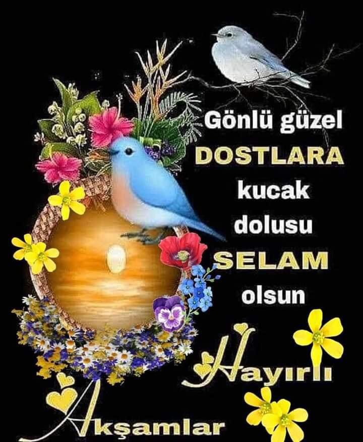 @d_cakaroglu @1enm_ @__Baha___1245 @Arafta_Nisa @Semnur___ @SreyyaGler8 @___la_l_u_DeRuN @aliburak004 @hassa61 @MahmutAliTuncel @Talipkrn21 @tosun_nilgun @FCANER2023 Amin ecmain Hayırlı akşamlar Dürdane hanimcim nasılsın hasta falan degilsin inşaallah pek goremiyorum seni can arkadaşım sagligin iyi olsun canın sağ olsun benim sağlığın da pek düzgün değil bu günüme Şükür arkadaşım selam ve dualarımla Dostlar🌺🌴