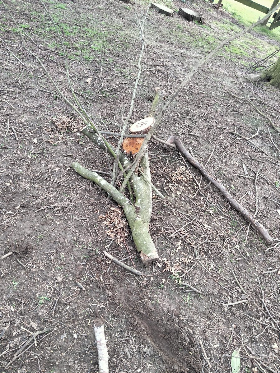 HeatherBurrow13's tweet photo. Decided to get outside for art club today...inspired by Andy Goldsworthy 👍😍 well done year 5 https://t.co/DUc5RWywgo