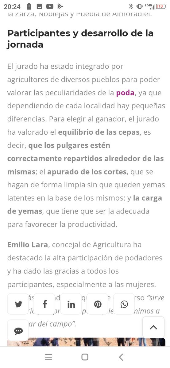 Hoy acabo de leer esto, si premiamos una MALA PRAXIS de PODA (apurado de cortes, en negrita y todo), no pidamos no tener enfermedades de madera o viñedos muy viejos.🤦🤦🤦🤦.