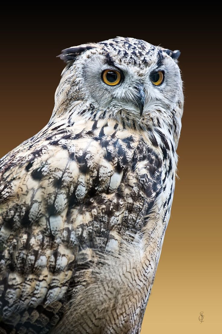 Alessandro ⚓️ NO DM tweet media