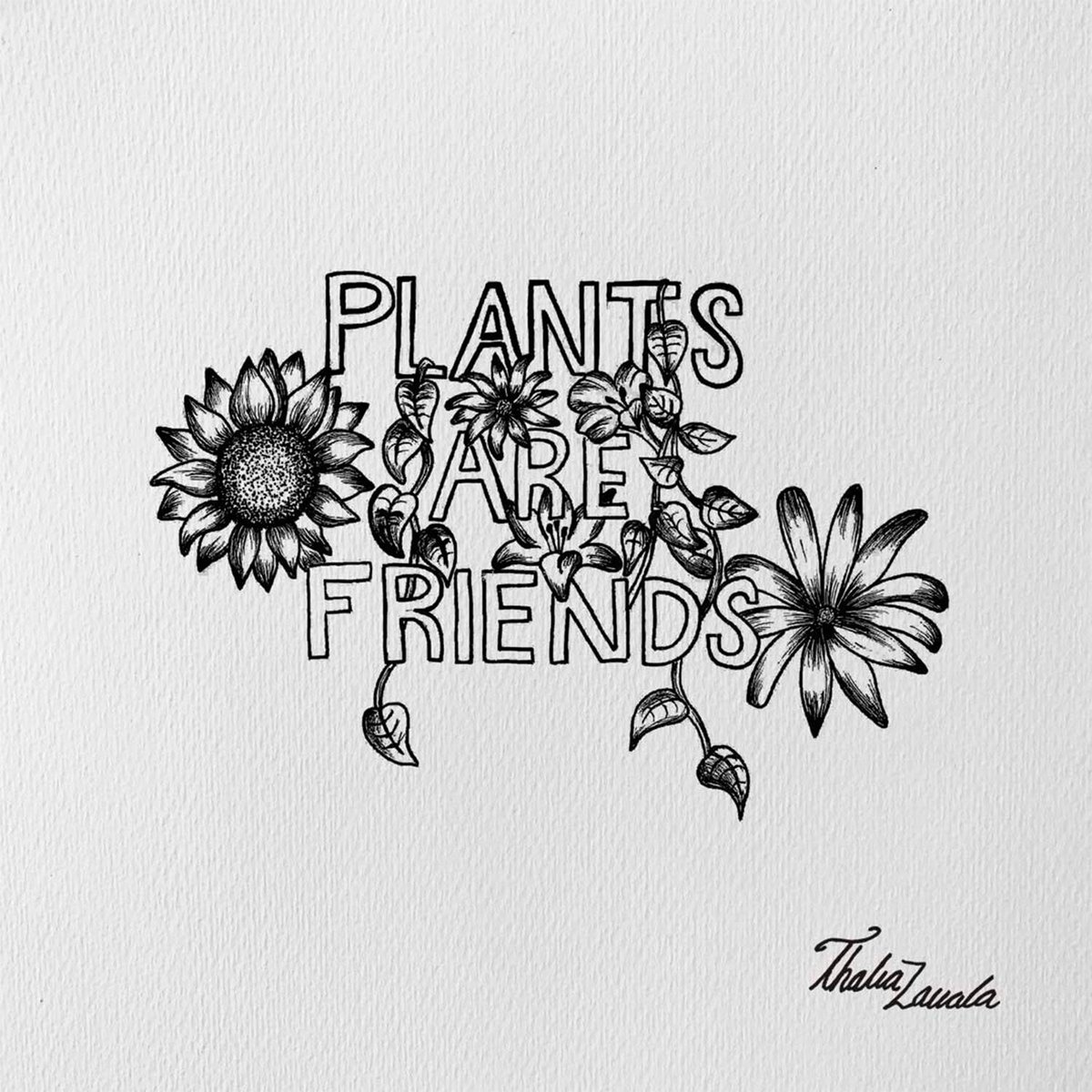 thaliazg's tweet photo. Plants are Friends https://t.co/aa2gNRvb2G