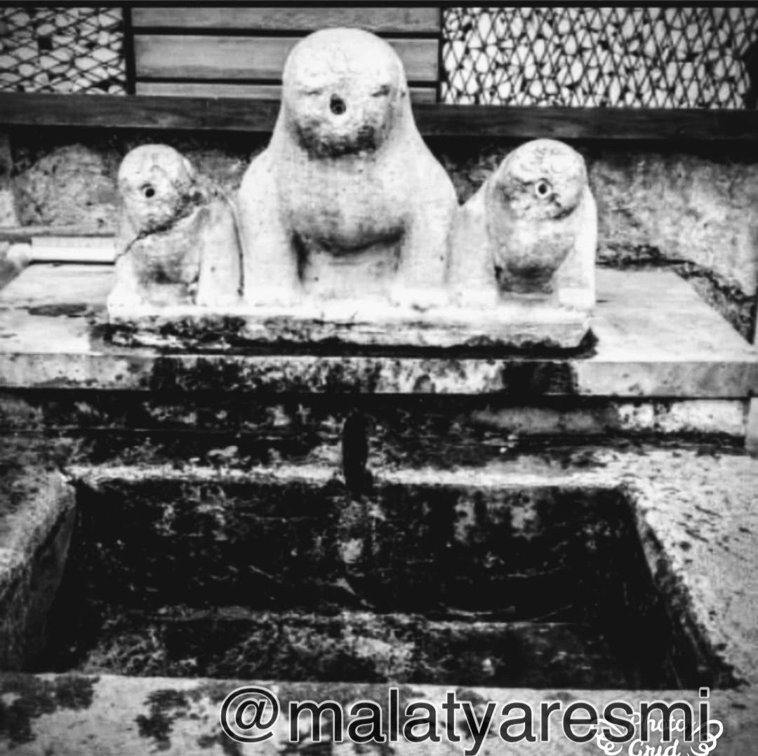 Akpınardaki Aslanlar. Daha sonra Gazi Parkına taşındı. Hatirlayanlar mutlaka olacaktir. #Malatya #EskiMalatya