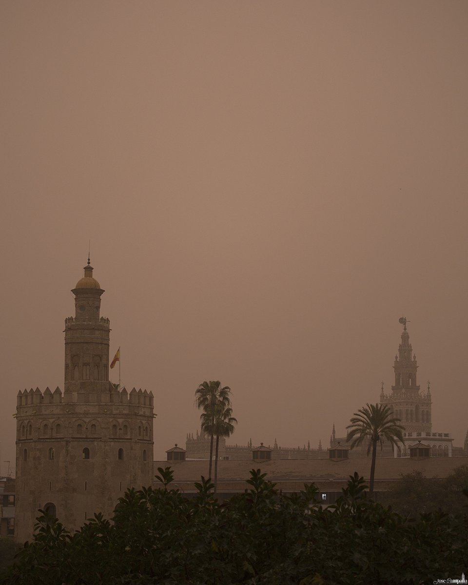 JoseCampanaF's tweet photo. Polvo sahariano sobre Sevilla.

#Calima #SueñaSevilla #SevillaHoy https://t.co/LxN6sHdZBv