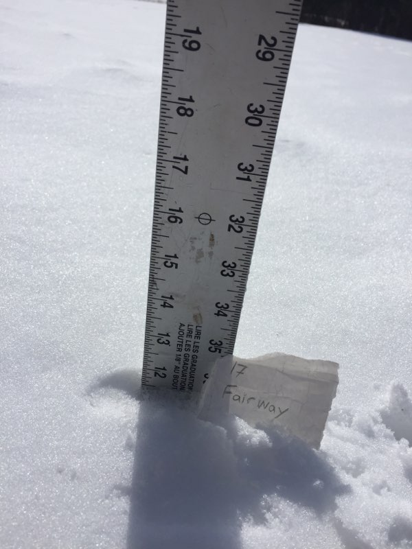 Chris Prodahl tweet media