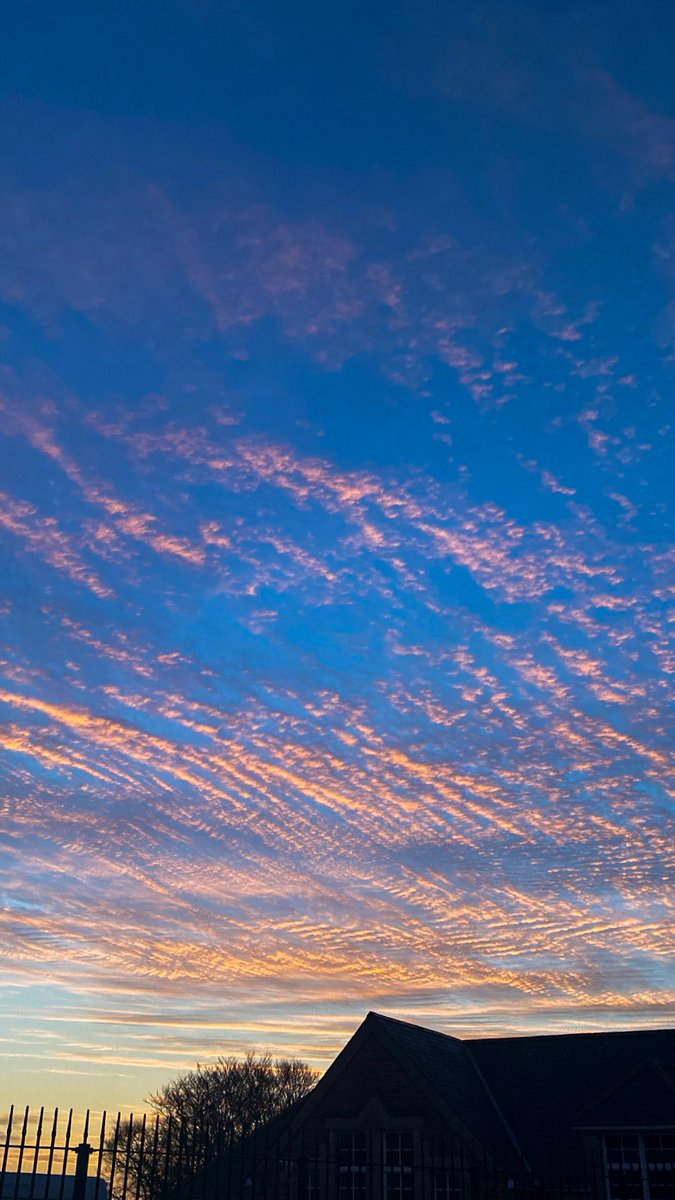 Rachel Hammond tweet media