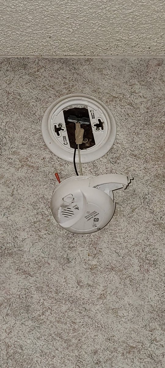 WeInvisible's tweet image. #projecthomekey motels. Why is this allowed? Stop listening to liar Dyer. These rooms are a safety hazard. @GavinNewsom come visit #fresnoca motels. All that money you sent....where did it go? Go with grassroots advocates not these paid ones. They will tell you what u want 2 hear