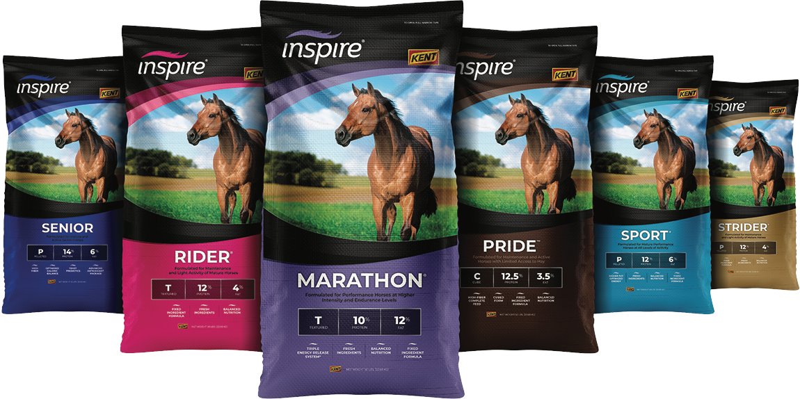 DirectionsMKTG's tweet photo. Adding some horse sense: a #packaging refresh #casestudy: https://t.co/imtwnKxX2a #GraphicDesign https://t.co/svyAOhzBE0