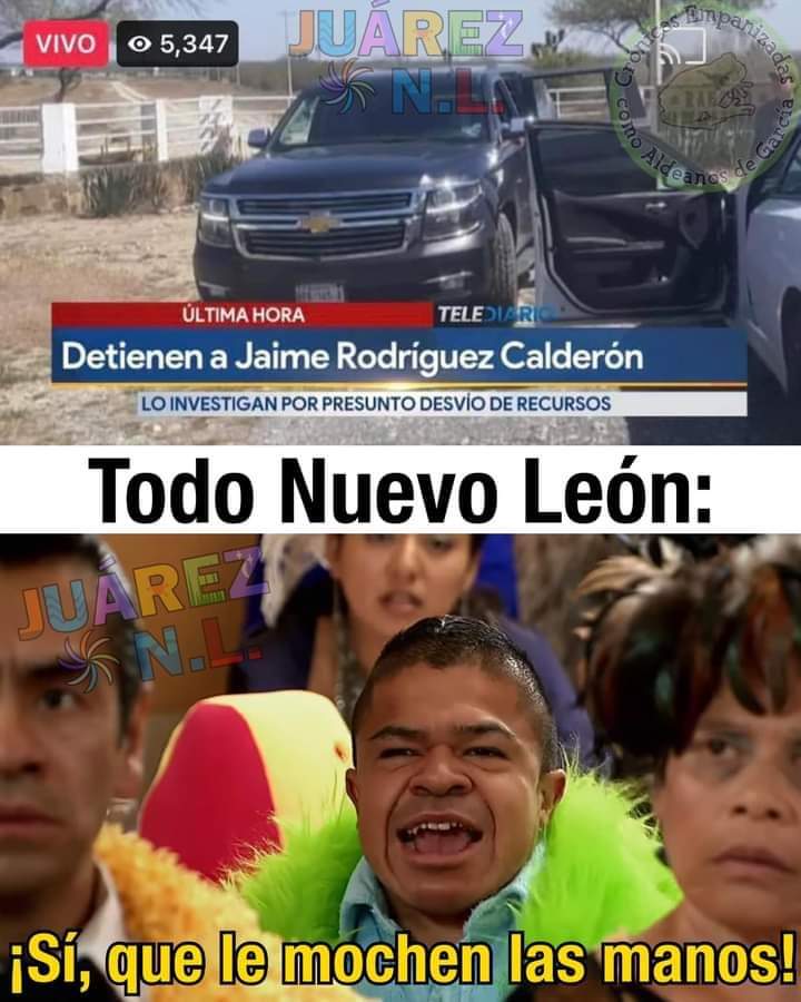 Doc.Lomito tweet media