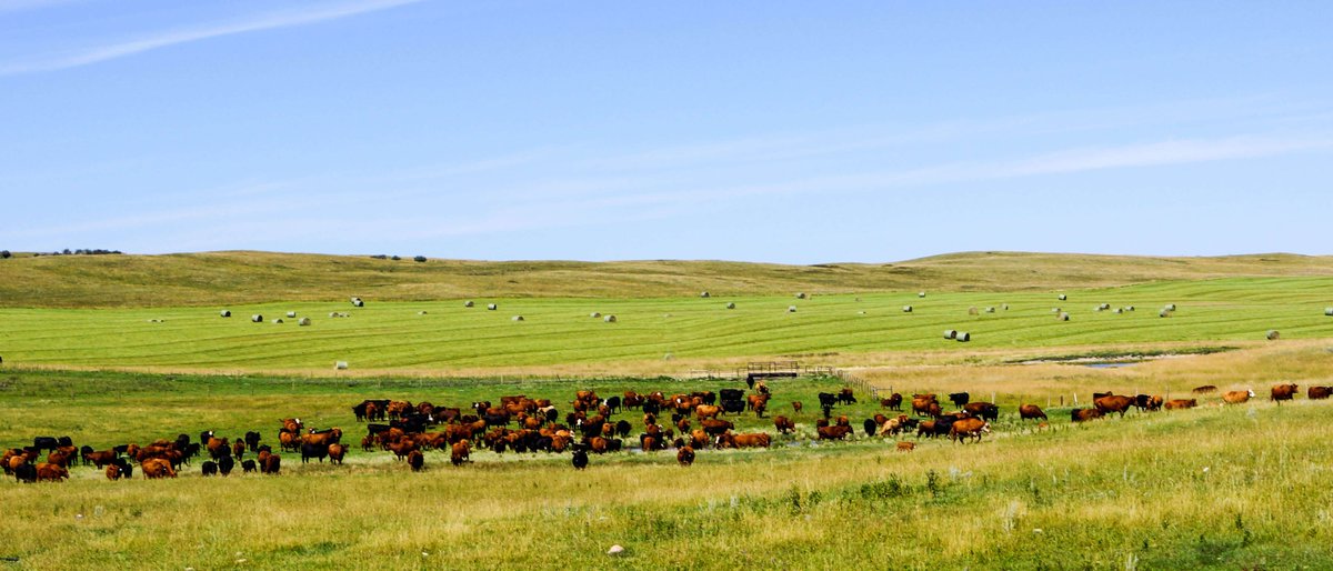 UM_agfoodsci's tweet photo. Last day to register! 2022 Sustainability of Canadian Agriculture Virtual Conference March 16-18 Farming for sustainable food systems. FREE registration closes March 15 at 6:30 CST. #SustCdnAg https://t.co/JfJW7ImXxf @umanitoba
@AAFC_Canada
@NCLEag https://t.co/20qFUNrSE2