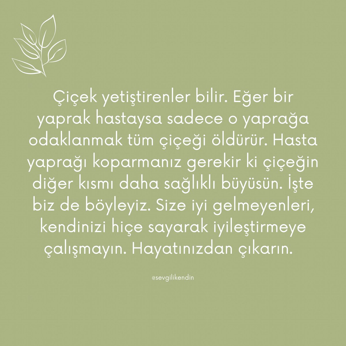 sevgilikendin's tweet photo. https://t.co/li7FCMpfgy