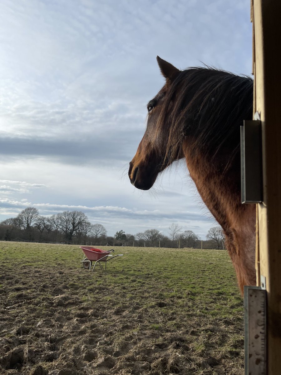 Louisa Hutchinson tweet media