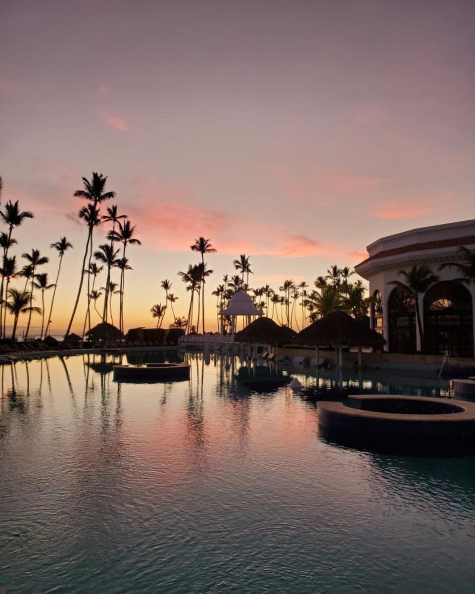 Paradisus Palma Real (@paradisuspreal) on Twitter photo A dream location for your next vacation. #ParadisusPalmaReal #EmbraceYourNature 📷<a href="/andresfunu/">Andrés Fuertes</a>
Book your next stay at bit.ly/3FsyIvh or your preferred travel agent. A dream location for your next vacation. #ParadisusPalmaReal #EmbraceYourNature 📷<a href="/andresfunu/">Andrés Fuertes</a>
Book your next stay at bit.ly/3FsyIvh or your preferred travel agent.