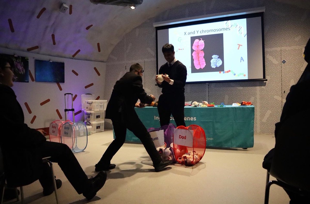 StratfordSch's tweet photo. #Year8 students uncovered the world of genes in a curriculum-linked science workshop held in the @CentreoftheCell #NeuronPod! Students learnt how our 20,000 genes make proteins, how genes differ, the process of meiosis and were also introduced to cutting edge genetic research! https://t.co/Joo3UDYdgX